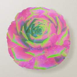 Kalkgroen en roze Succulent Sedum Rosette Rond Kussen