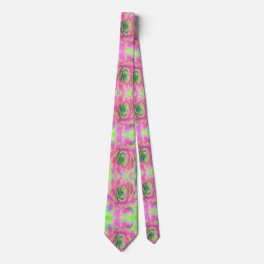 Kalkgroen en roze Succulent Sedum Rosette Stropdas (Voorkant)