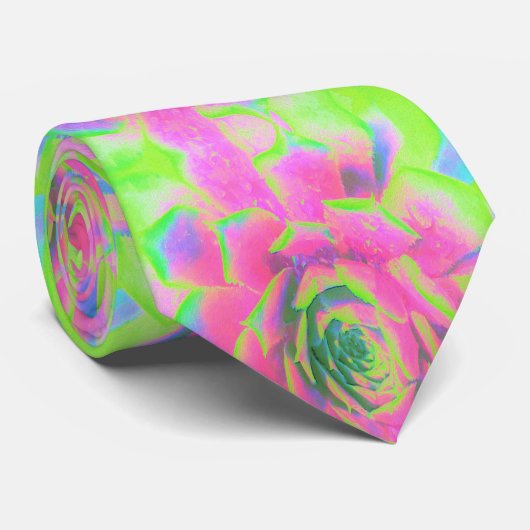 Kalkgroen en roze Succulent Sedum Rosette Stropdas (Opgerold)