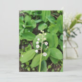 Kalkhoudende Lily van de Valley Blank Kaart (Staand voorkant)