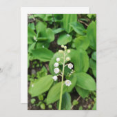 Kalkhoudende Lily van de Valley Blank Kaart (Voorkant / Achterkant)