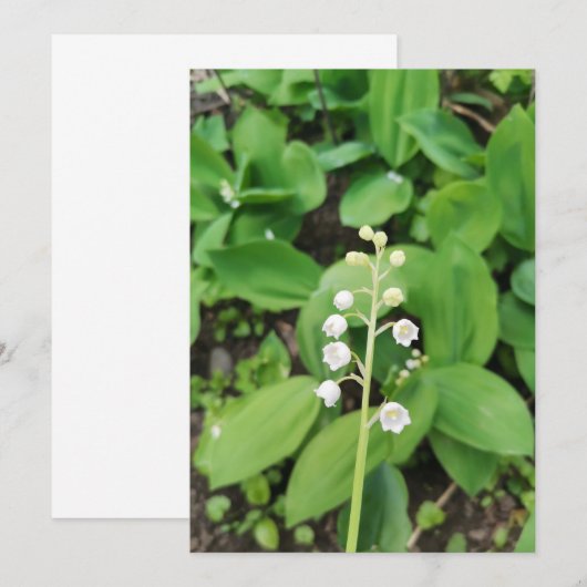 Kalkhoudende Lily van de Valley Blank Kaart (Voorkant / Achterkant)
