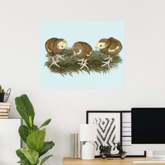 Kalkoen chocolade kuikens poster (Thuiskantoor)