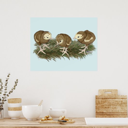 Kalkoen chocolade kuikens poster (Keuken)