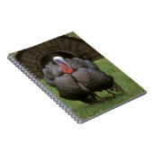 Kalkoen Notitieboek (Rechterzijde)