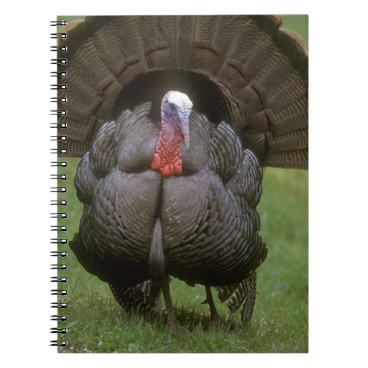 Kalkoen Notitieboek (Voorkant)