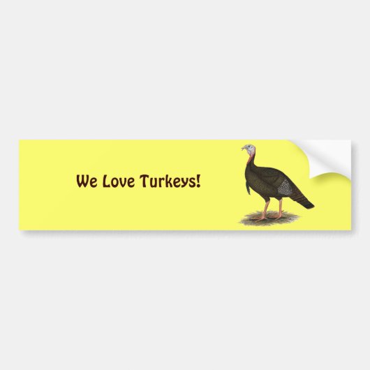 Kalkoen: Oostelijke wilde tom Bumpersticker (Voorkant)