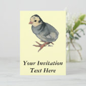 Kalkoen Poult Blue Slate Kaart (Staand voorkant)