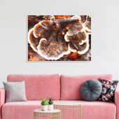 Kalkoen staarten schimmels Canvas Print (Insitu (Woonkamer))