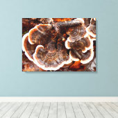 Kalkoen staarten schimmels Canvas Print (Insitu (Houten vloer))