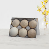 kalkoeneieren kaart (Gele Bloem)