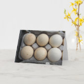 kalkoeneieren kaart (Gele Bloem)