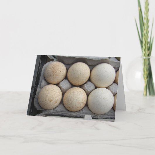 kalkoeneieren kaart (Voorkant)