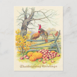 Kalkoenen Boerderij Pompoen Appels Boom Herfstblad Briefkaart