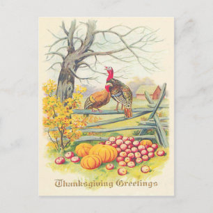 Kalkoenen Boerderij Pompoen Appels Boom Herfstblad Briefkaart