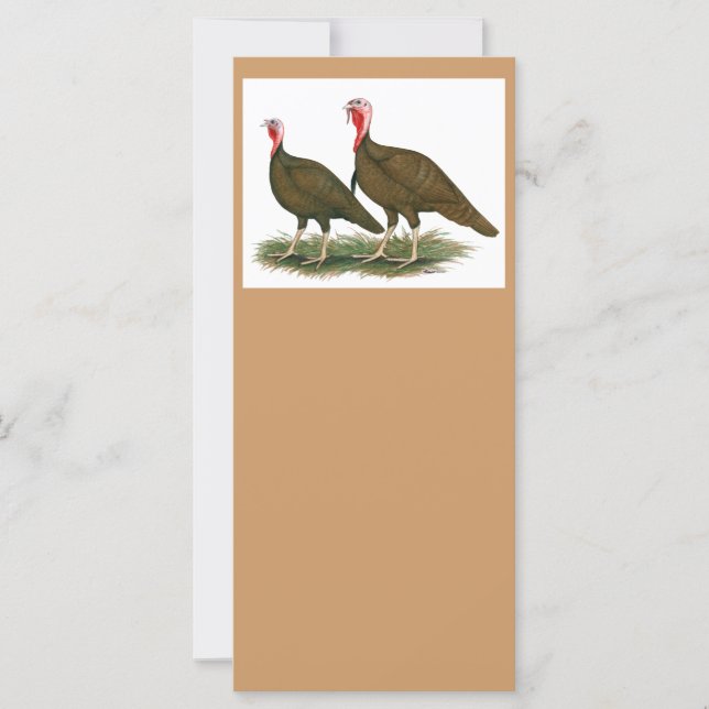 Kalkoenen: Chocolade (Voorkant)