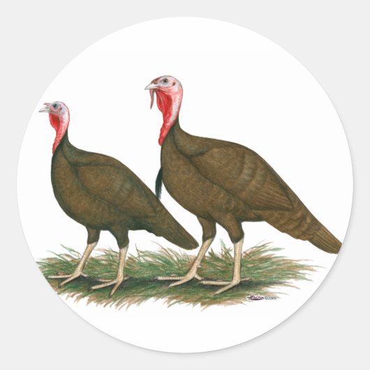 Kalkoenen: Chocolade Ronde Sticker (Voorkant)