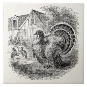 kalkoenen - gepersonaliseerde Barn Turkey Birds Tegeltje