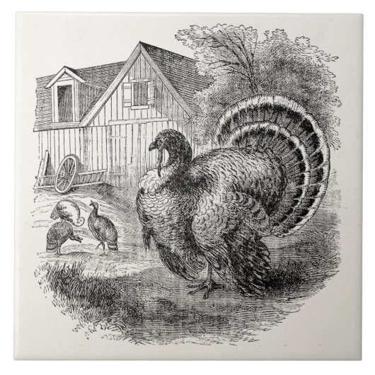  kalkoenen - gepersonaliseerde Barn Turkey Birds Tegeltje (Voorkant)