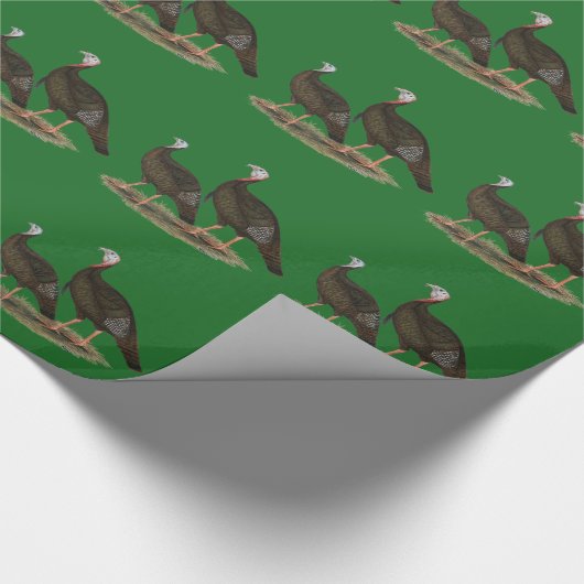 Kalkoenen in het oostelijke wilde haar cadeaupapier (Hoek)