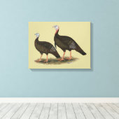 Kalkoenen in het oostelijke wilde haar canvas afdruk (Insitu (Houten vloer))