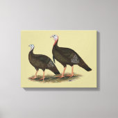 Kalkoenen in het oostelijke wilde haar canvas afdruk (Voorkant)