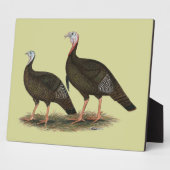 Kalkoenen in het oostelijke wilde haar fotoplaat (Zijkant)