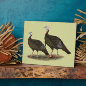 Kalkoenen in het oostelijke wilde haar fotoplaat (Zijkant)