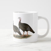 Kalkoenen in het oostelijke wilde haar grote koffiekop (Rechts)