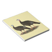 Kalkoenen in het oostelijke wilde haar notitieblok (Schuin)