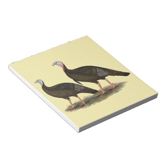 Kalkoenen in het oostelijke wilde haar notitieblok (Schuin)