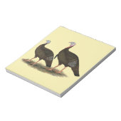 Kalkoenen in het oostelijke wilde haar notitieblok (Linkerzijde)