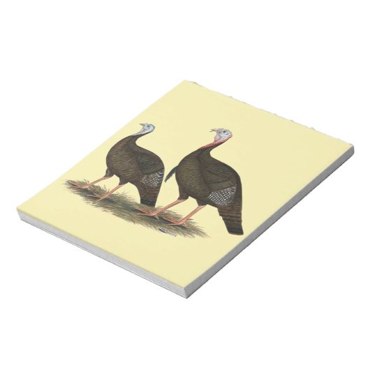 Kalkoenen in het oostelijke wilde haar notitieblok (Linkerzijde)