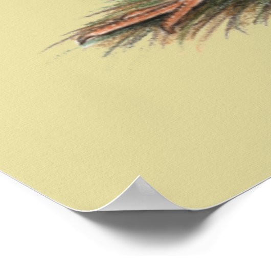 Kalkoenen in het oostelijke wilde haar poster (Hoek)