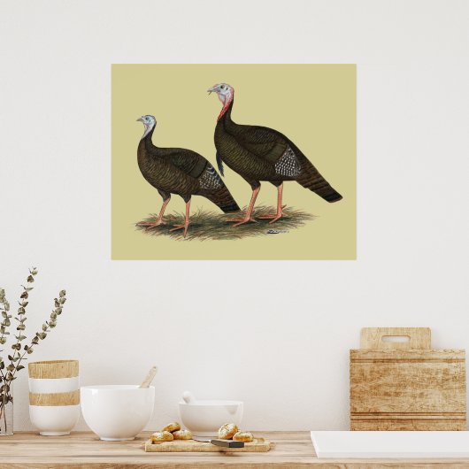 Kalkoenen in het oostelijke wilde haar poster (Keuken)