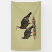 Kalkoenen in het oostelijke wilde haar spandoek (Verticaal)