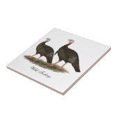 Kalkoenen in het oostelijke wilde haar tegeltje (Zijkant)