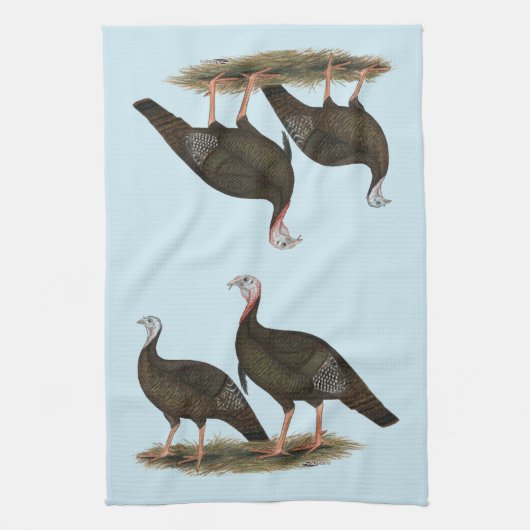 Kalkoenen in het oostelijke wilde haar theedoek (Verticaal)