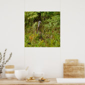 kalkoenen met kuikens poster (Keuken)