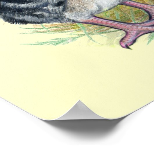 Kalkoenen oostelijke wilde familie poster (Hoek)