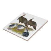 Kalkoenen oostelijke wilde familie tegeltje (Zijkant)