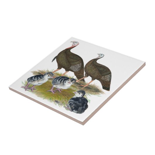 Kalkoenen oostelijke wilde familie tegeltje (Zijkant)