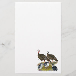 Kalkoenen Oosterse Wilde Familie