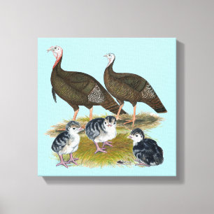 Kalkoenen Oosterse Wilde Familie Canvas Afdruk