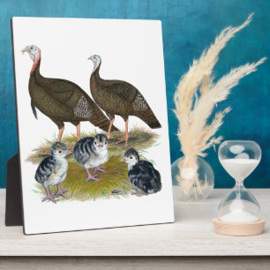 Kalkoenen Oosterse Wilde Familie Fotoplaat