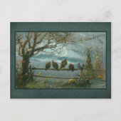  kalkoenen op hek in maanlicht briefkaart (Voorkant)