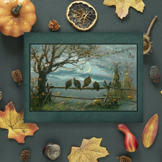  kalkoenen op hek in maanlicht briefkaart