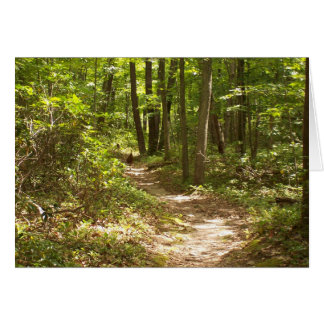 kalkoenen op het spoor in appalachian