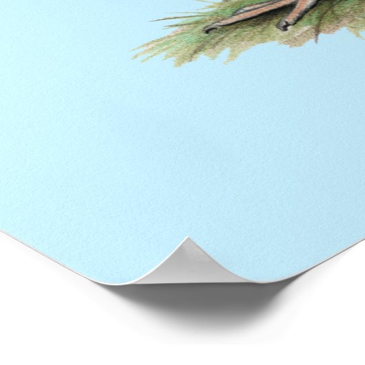 Kalkoenen Witte Hollands Poster (Hoek)