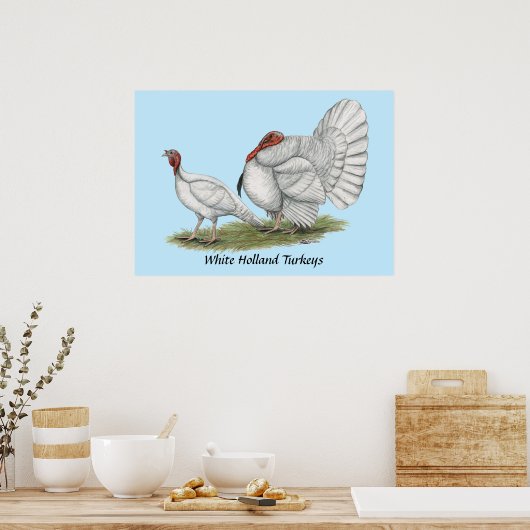 Kalkoenen Witte Hollands Poster (Keuken)